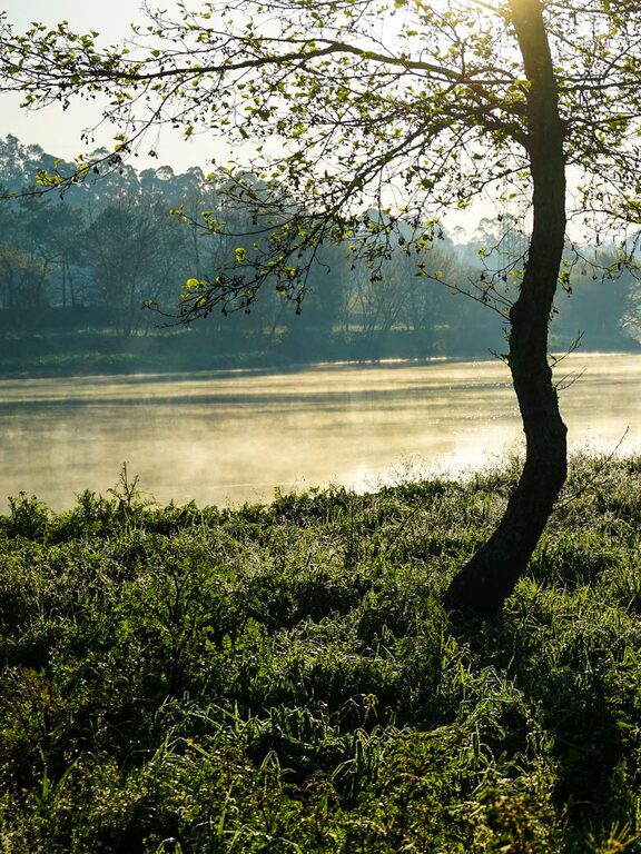 Ideas for Peaceful Weekend Mornings: Relax and Recharge